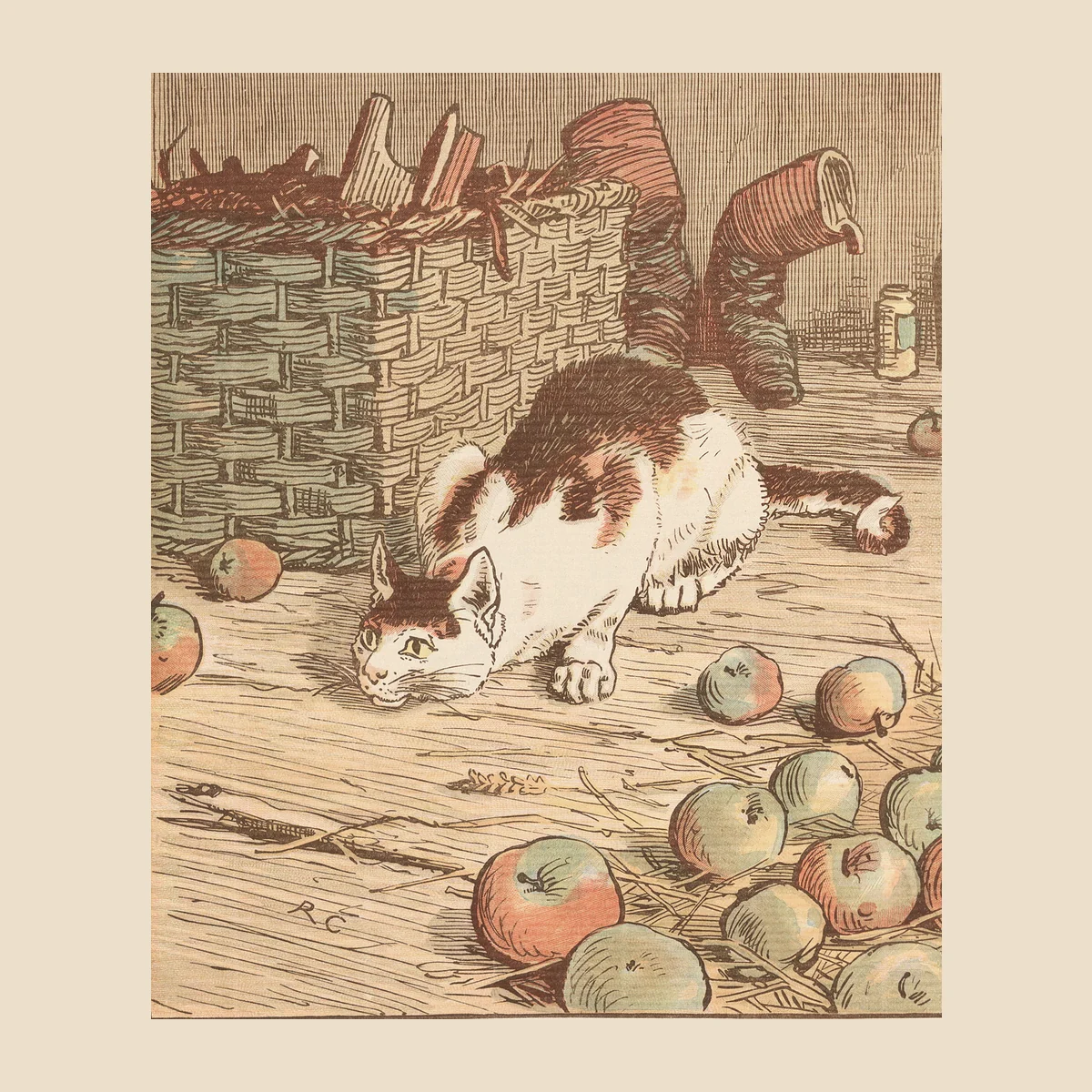 Cat on the wall