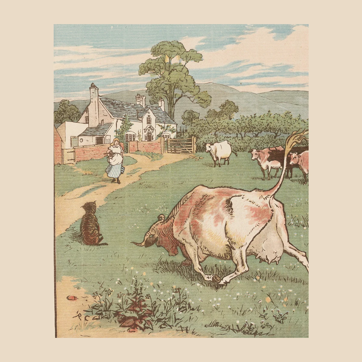 Cow in the meadow