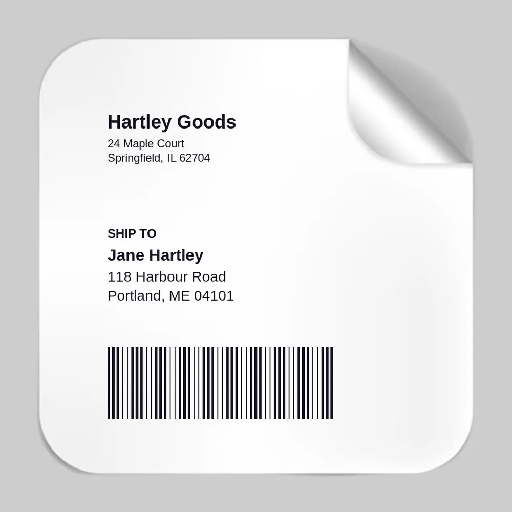 Shipping Labels 4 x 6 in