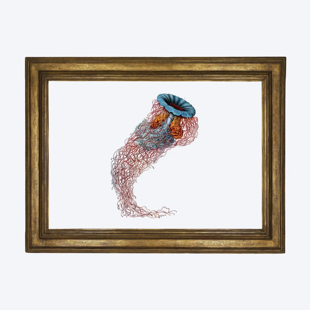 Framed art print A3