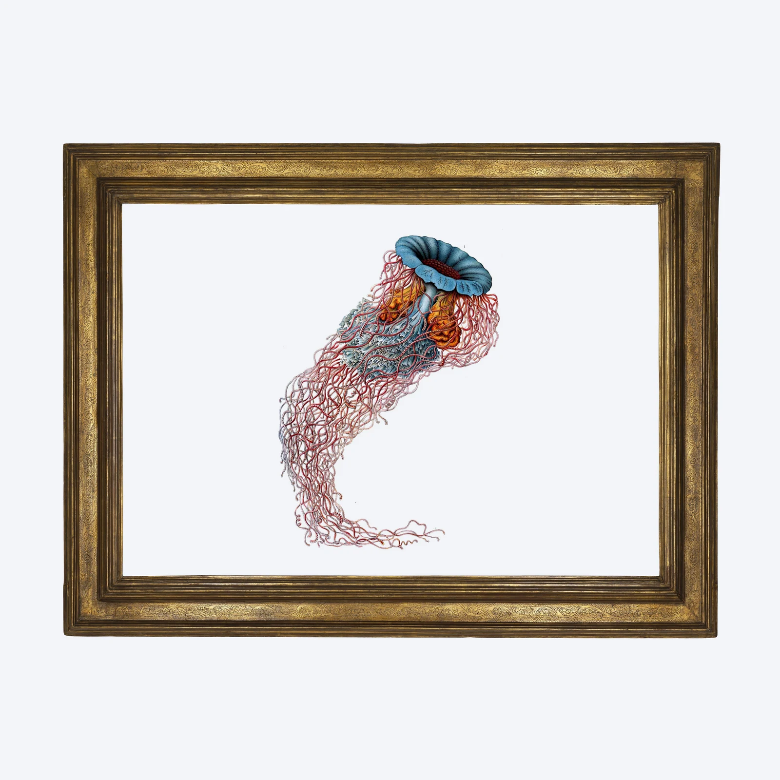 Framed art print A3