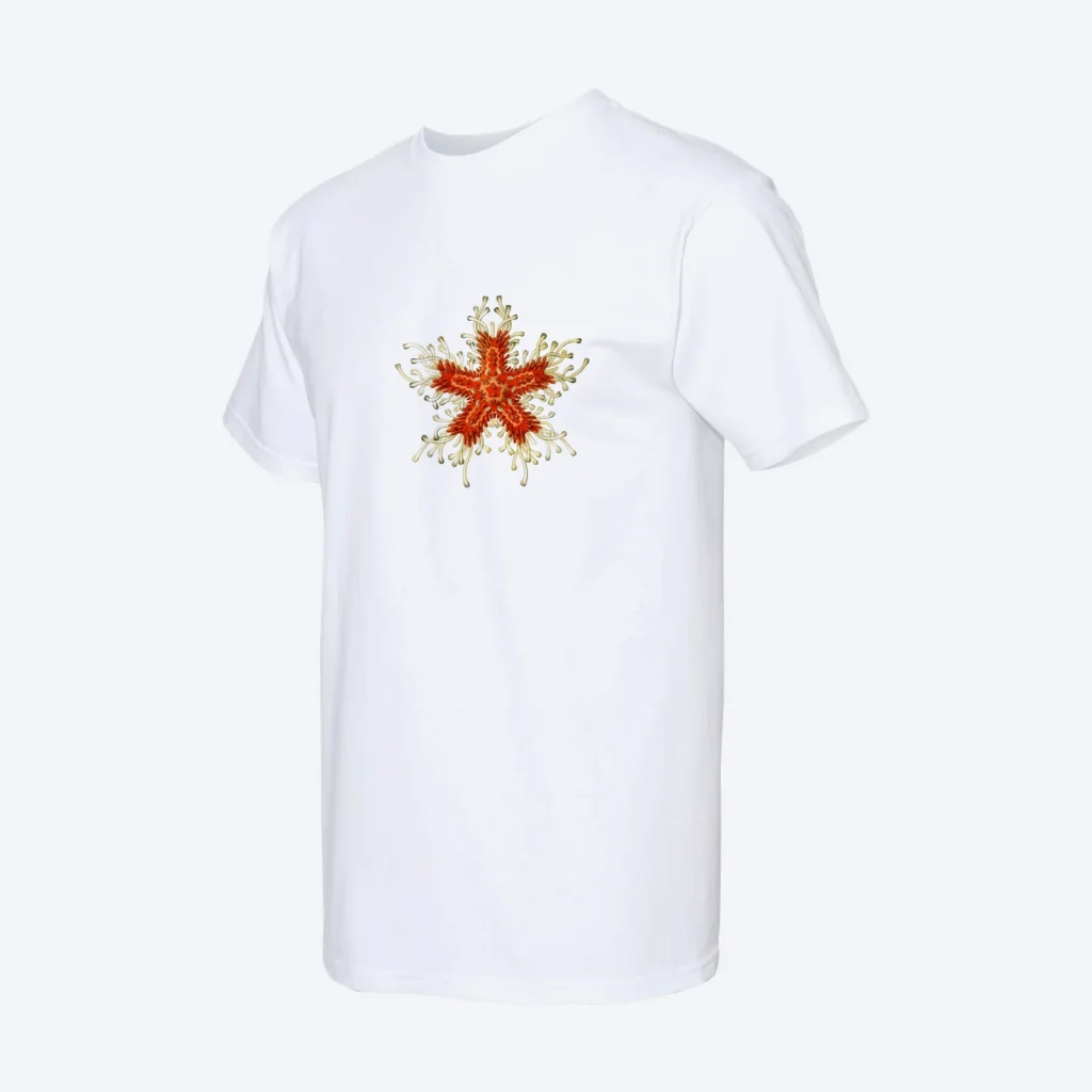 Crew-neck tee, DTG print