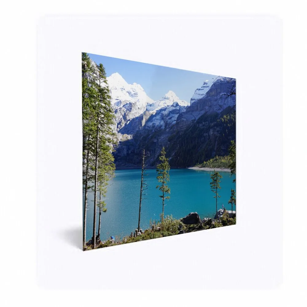 Acrylic Wall Print