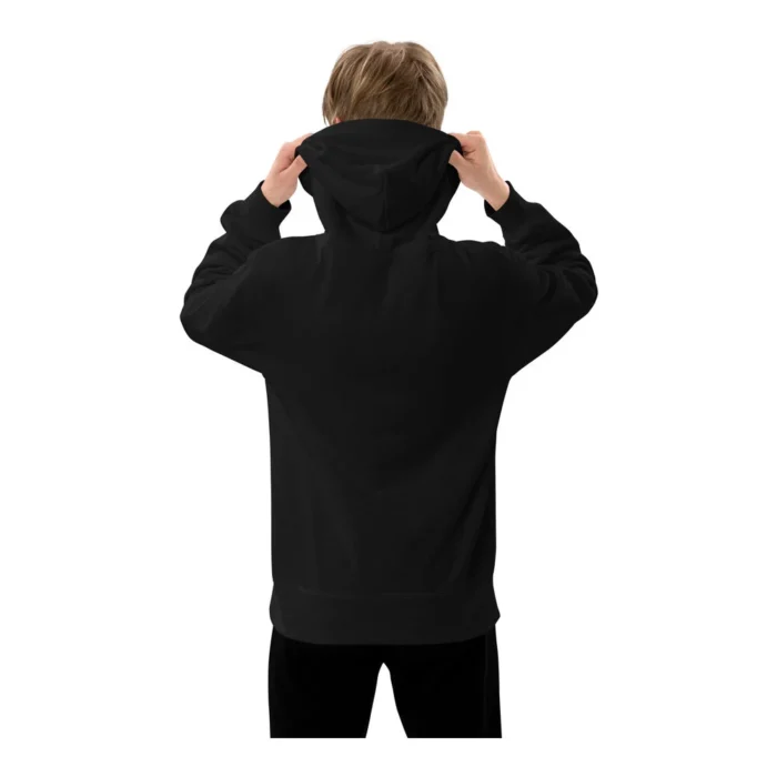 French Terry Pullover Hoodie (view 2)