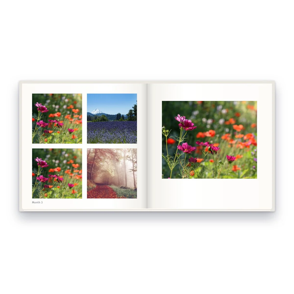 Baby's First Year Photo Book 8 x 8 in (view 2)