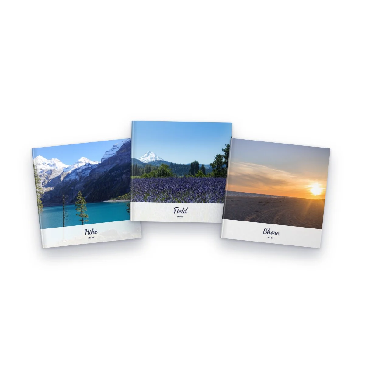 Mini Photo Book Trio, 3 x 4 x 4 in