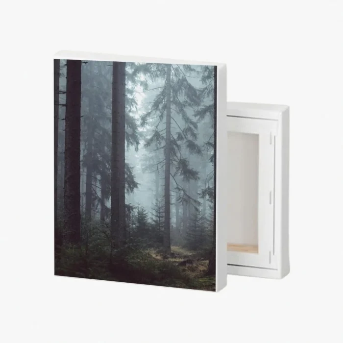 Gallery-Wrap Canvas - Image 1