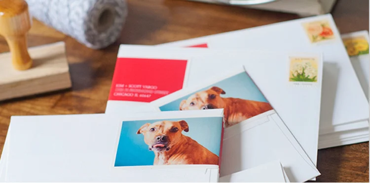 Pet Photo Gifts: Ideas for Dog and Cat Lovers