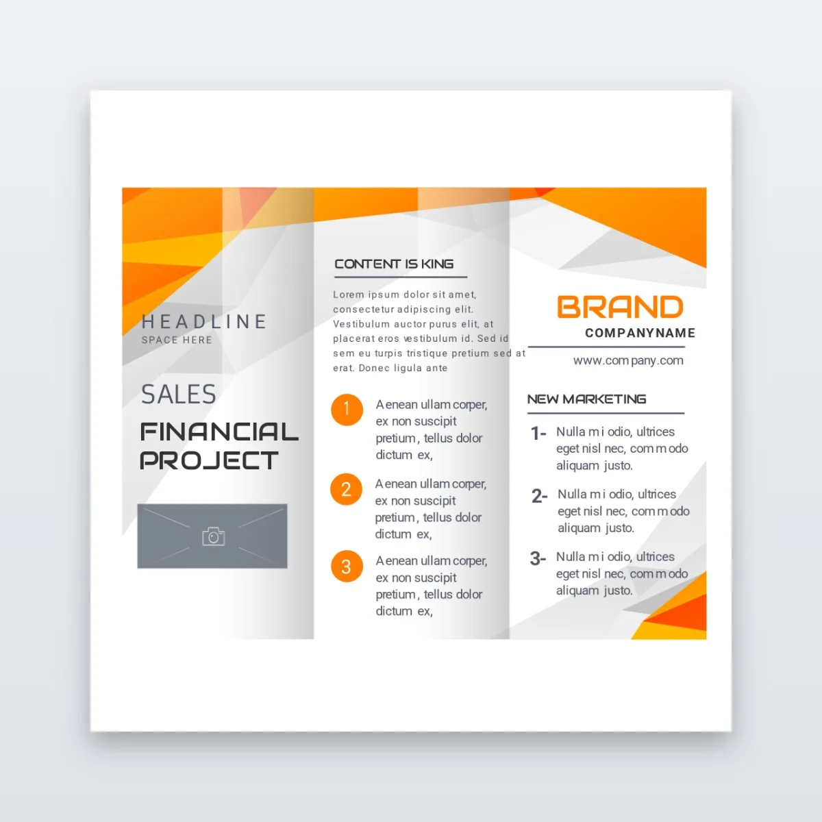 Tri-Fold Brochures